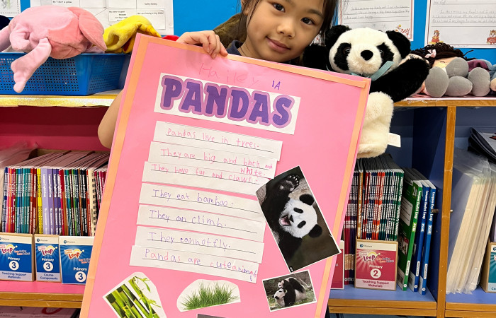 2526_P.1A Zoo animal posters